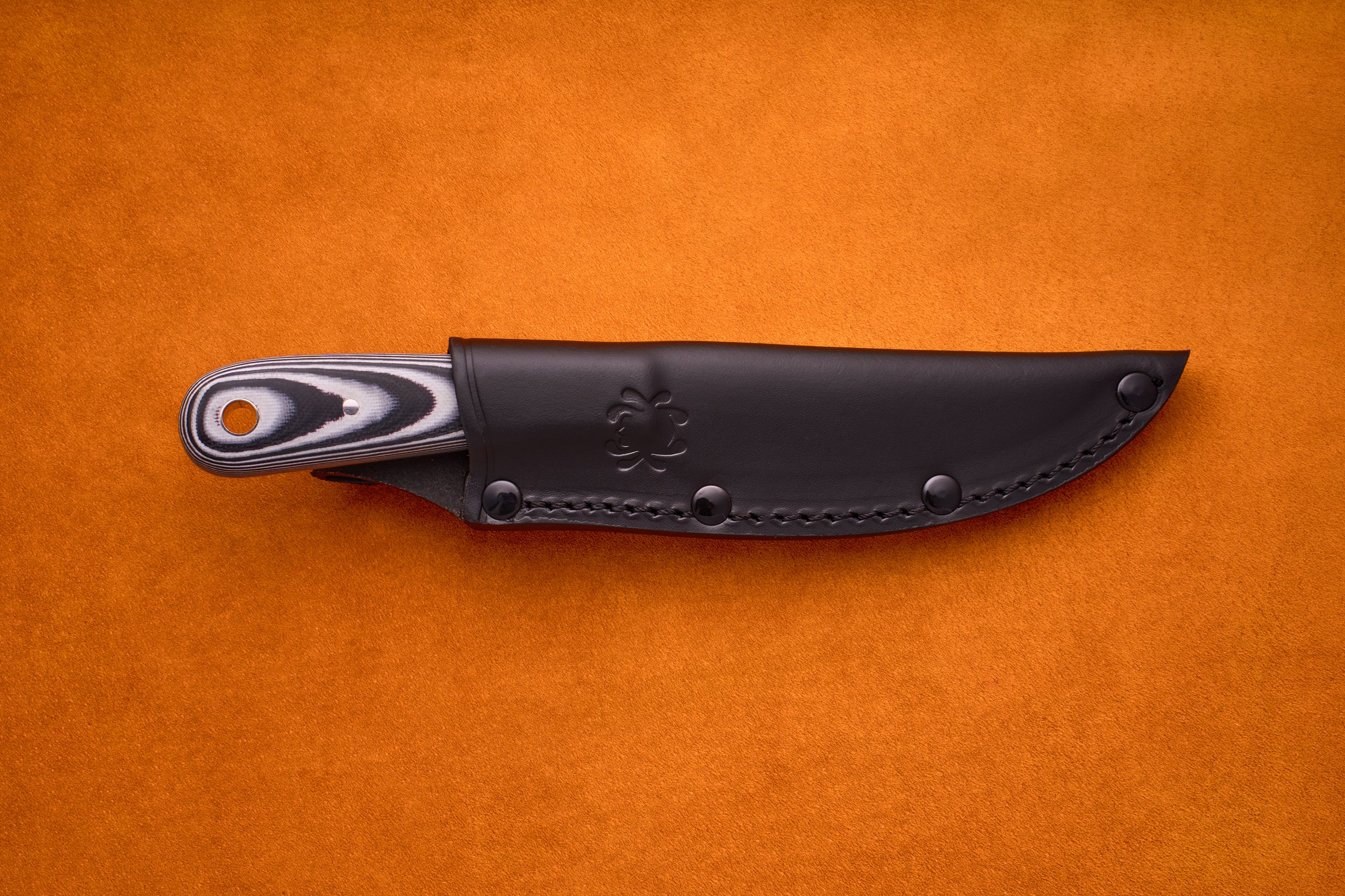 Spyderco Bow River - Image 5