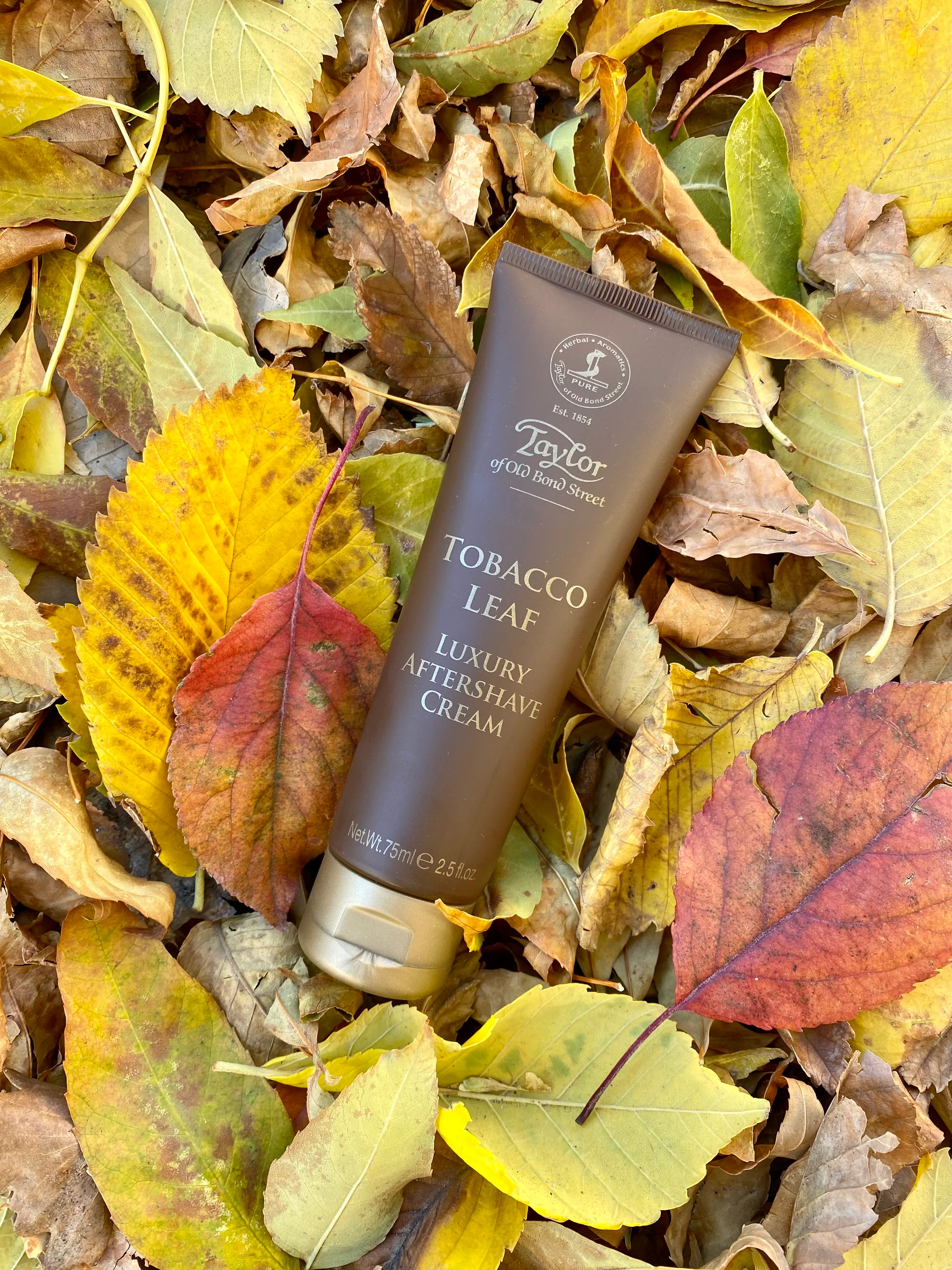 Taylor of Old Bond Street Tobacco Leaf Aftershave Cream